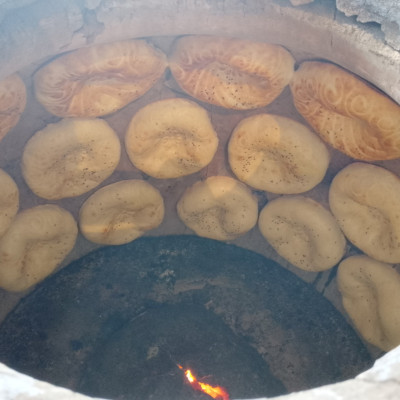 Гостеприимство - Фотогалерея